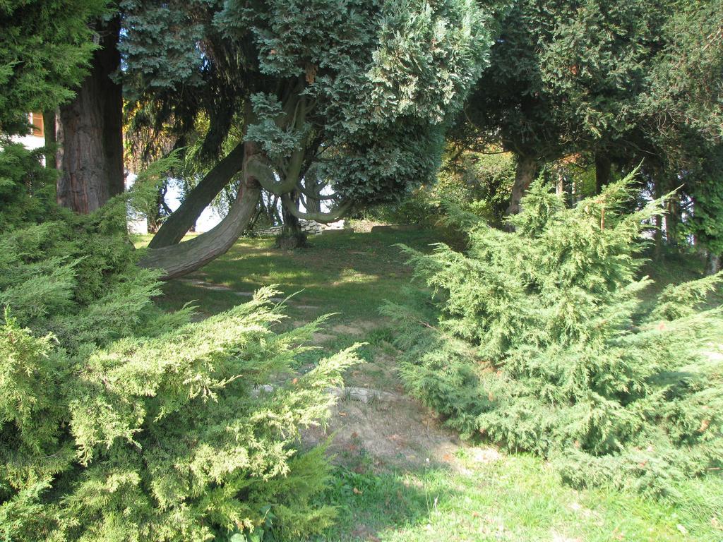 Dvorec Jeruzalem Ivanjkovci Esterno foto